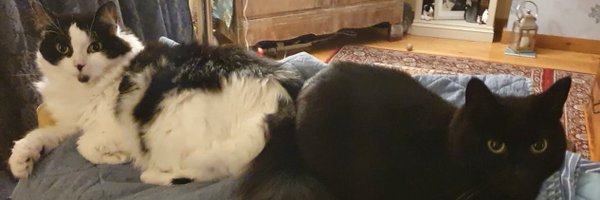 robertmbates Profile Banner