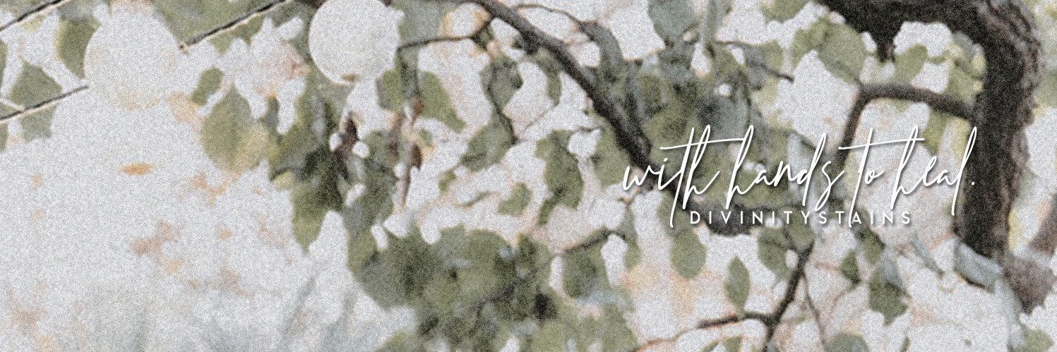 divinitystains's profile banner image