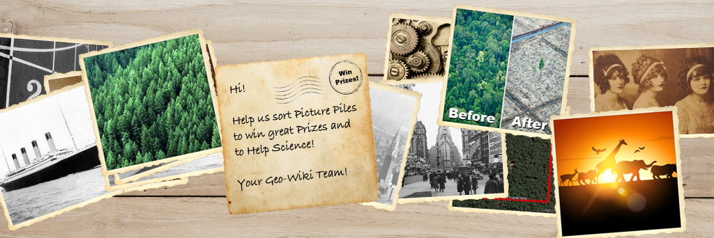 picturepile's profile banner image