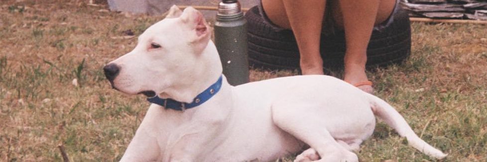 julietalust's profile banner image