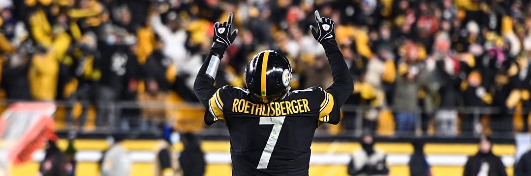 Realistic Steelers Fan banner