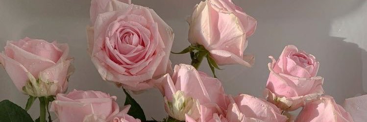 tatyannab's profile banner image