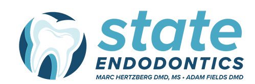 StateEndo's profile banner image
