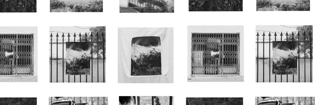𝐃𝐞𝐜𝐥𝐢𝐯𝐞 banner