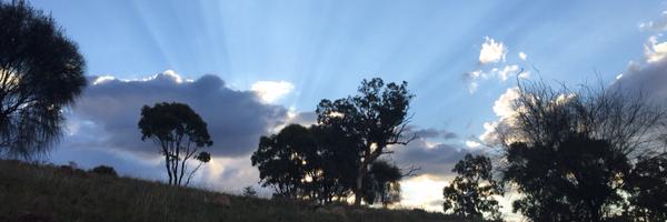 docsrai Profile Banner