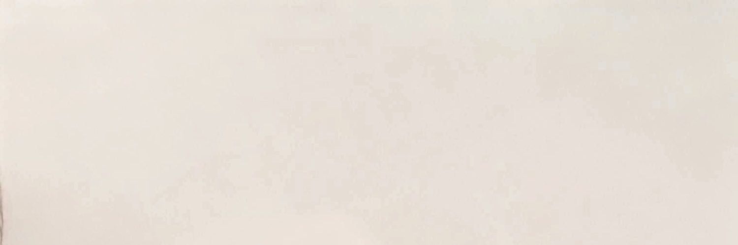 supvenice's profile banner image