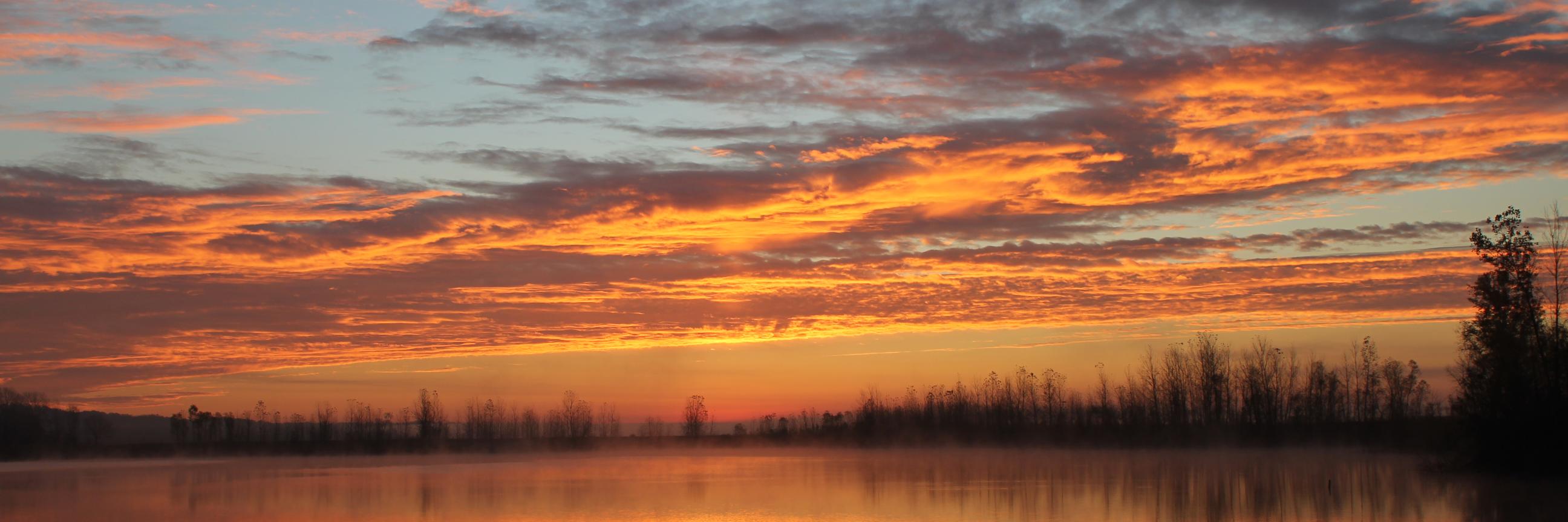 RoseofRealty's profile banner image