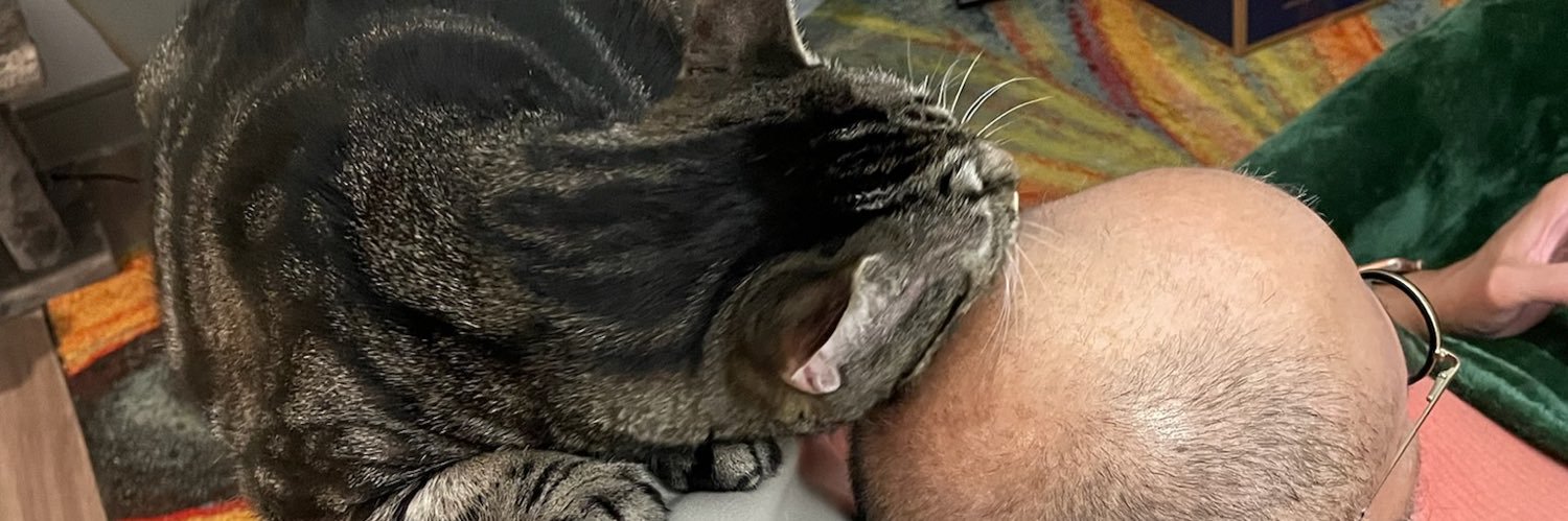 Fledgist's profile banner image