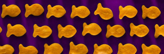 SometimeOther's banner