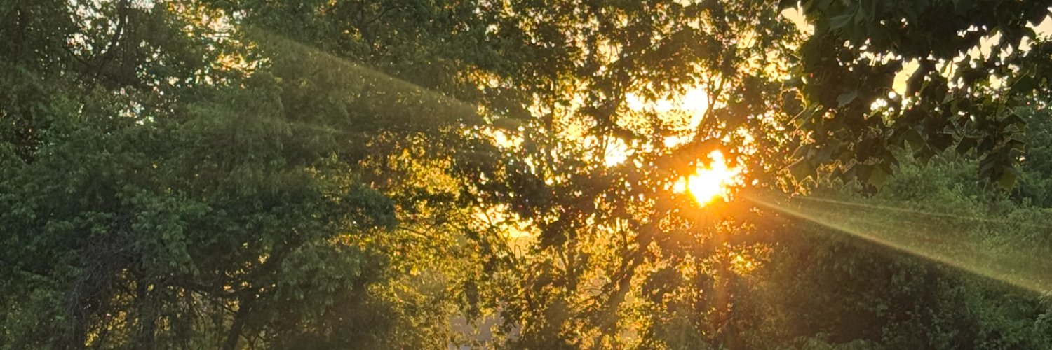 michaelcerullo's profile banner image
