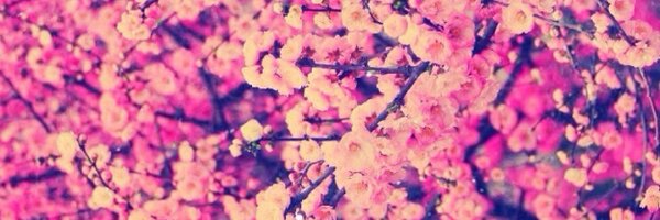 Laura_Cos_ Profile Banner