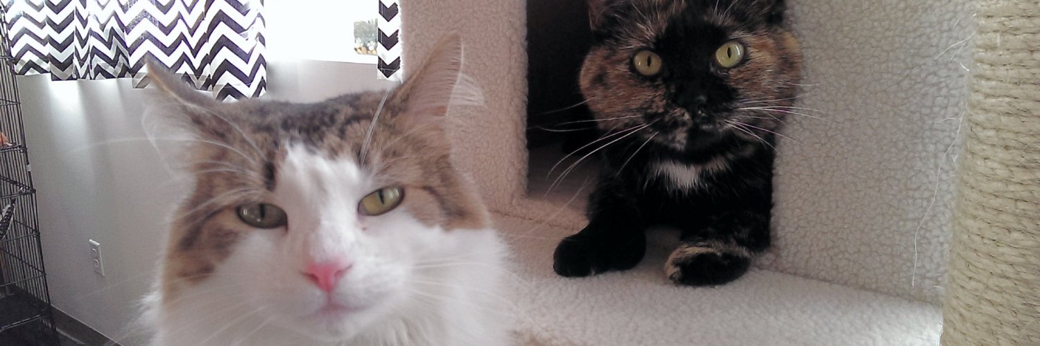 🅨🅞🅤 ⓜⓤⓢⓣ 𝘣𝘦 𝖘𝖊𝖊𝖎𝖓𝖌 . banner