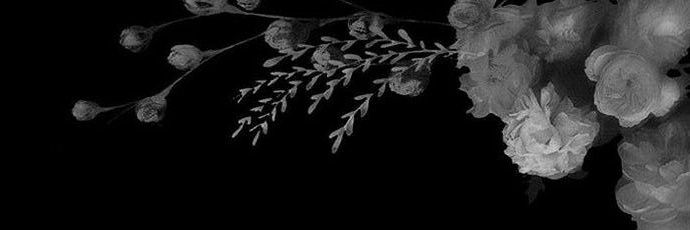 bulletrmnce's profile banner image