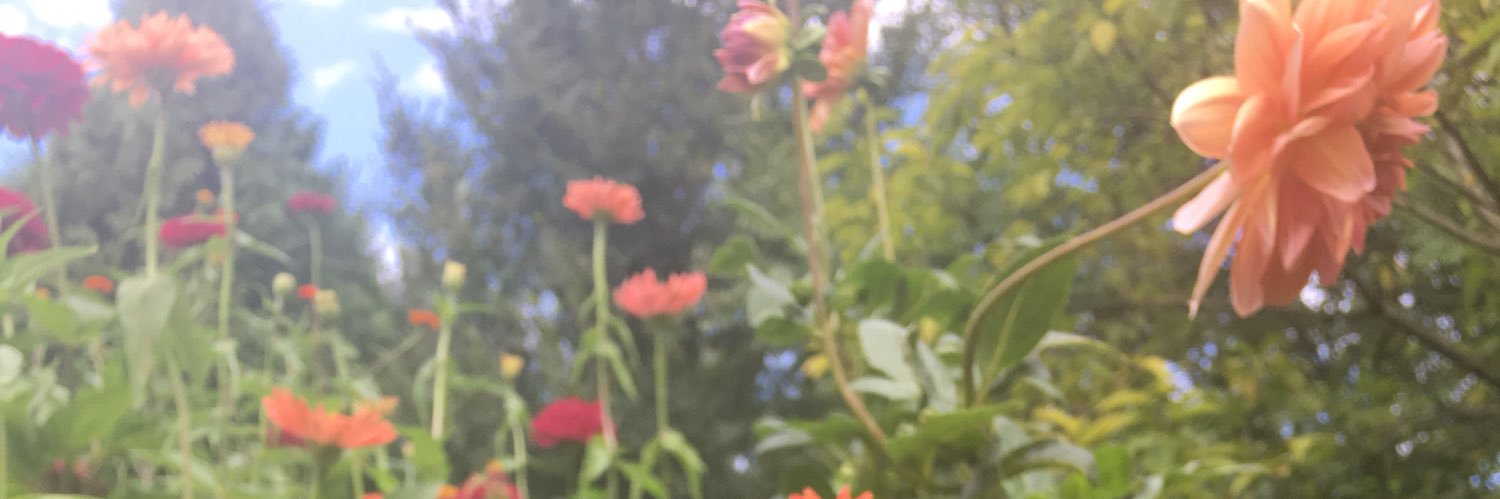 EllenVL's profile banner image