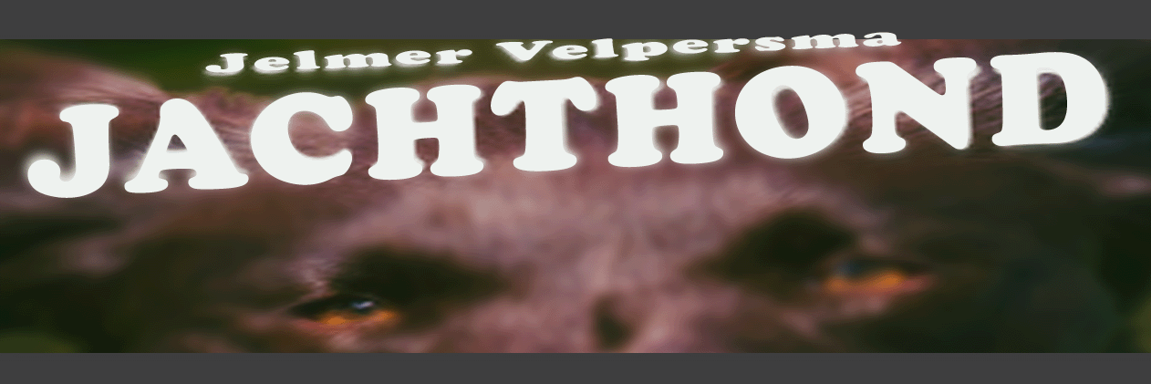 Velpersma's profile banner image