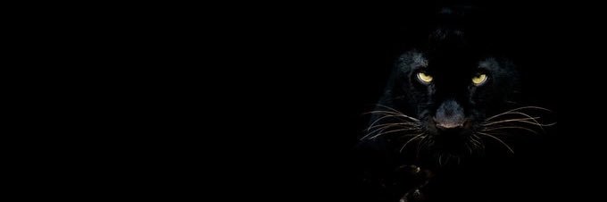 J e r e ( M i a h ) banner