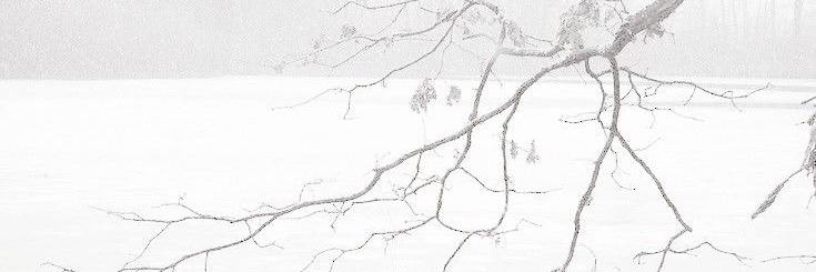 Dazaifronttooth's profile banner image
