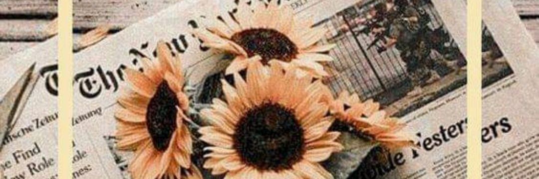Frykys's profile banner image