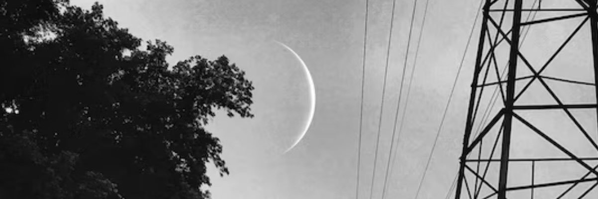 OCDalvey's profile banner image