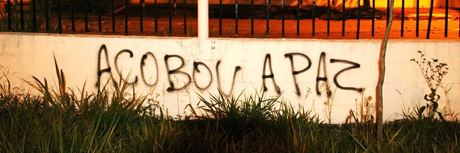 Bruninha ¯\_(ツ)_/¯ banner