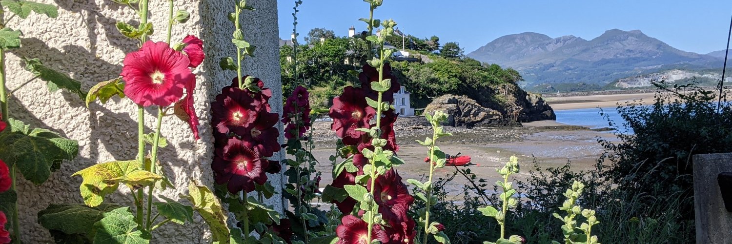 Sarah Shearman banner