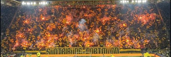 BVB Number 1 banner