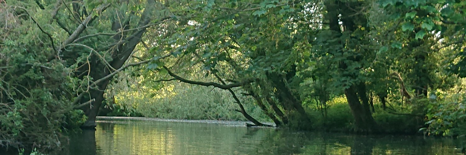 David Carmona banner