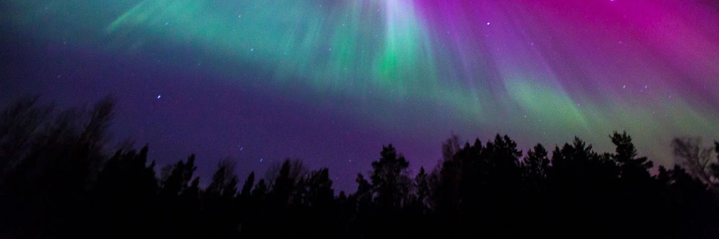 Az 💐🌺🌻 banner