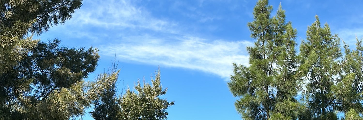 Silvina Escupidero banner