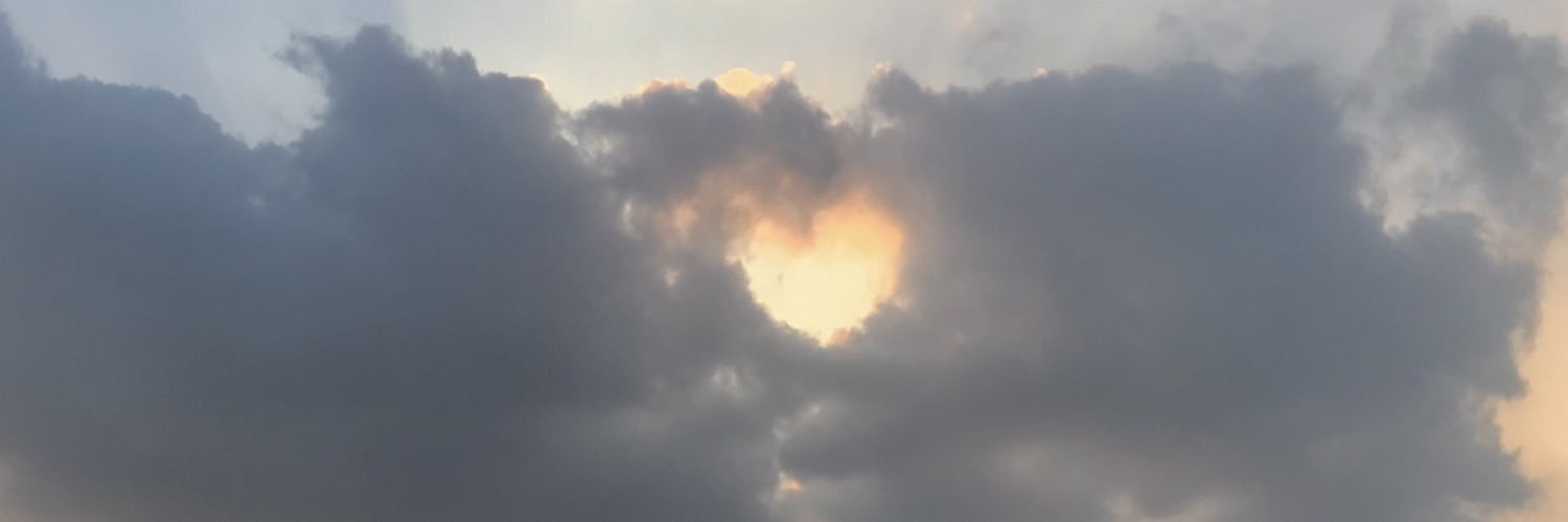 𝓈𝒾𝓃's banner