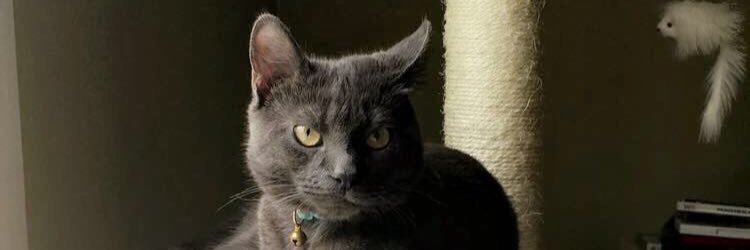 Alex_Spinnler's profile banner image