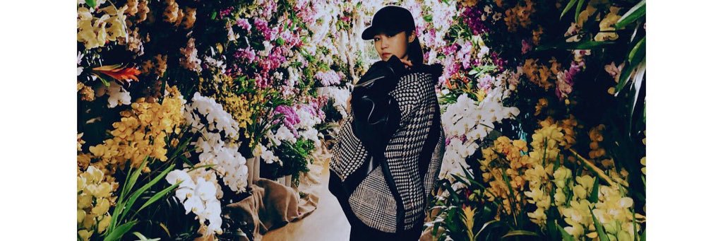 syouha7's profile banner image