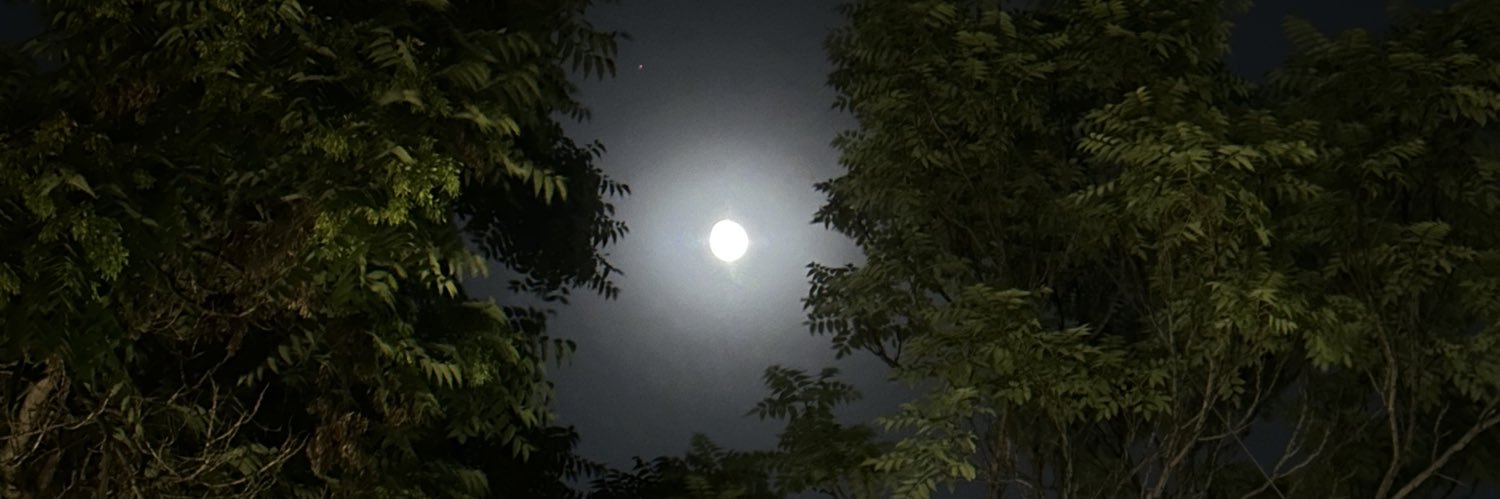 twaq_19's profile banner image