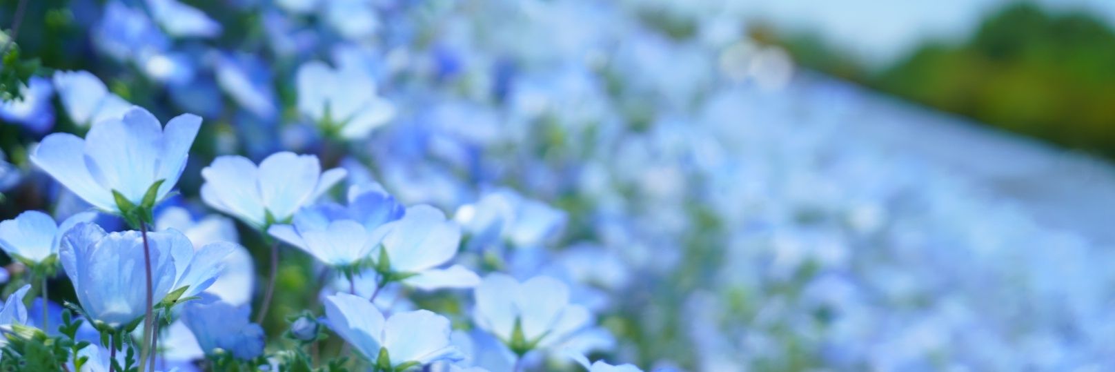 iktf0121's profile banner image