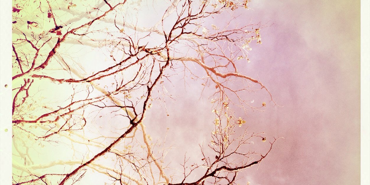 thupancic's profile banner image