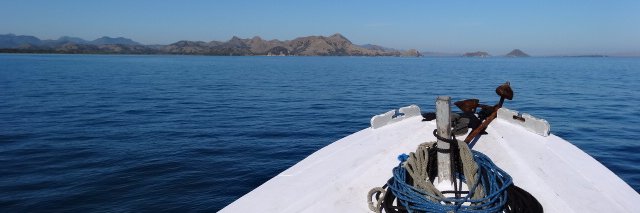 Amanda Wilson AM banner