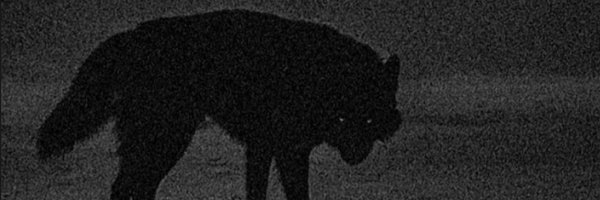1995limit Profile Banner