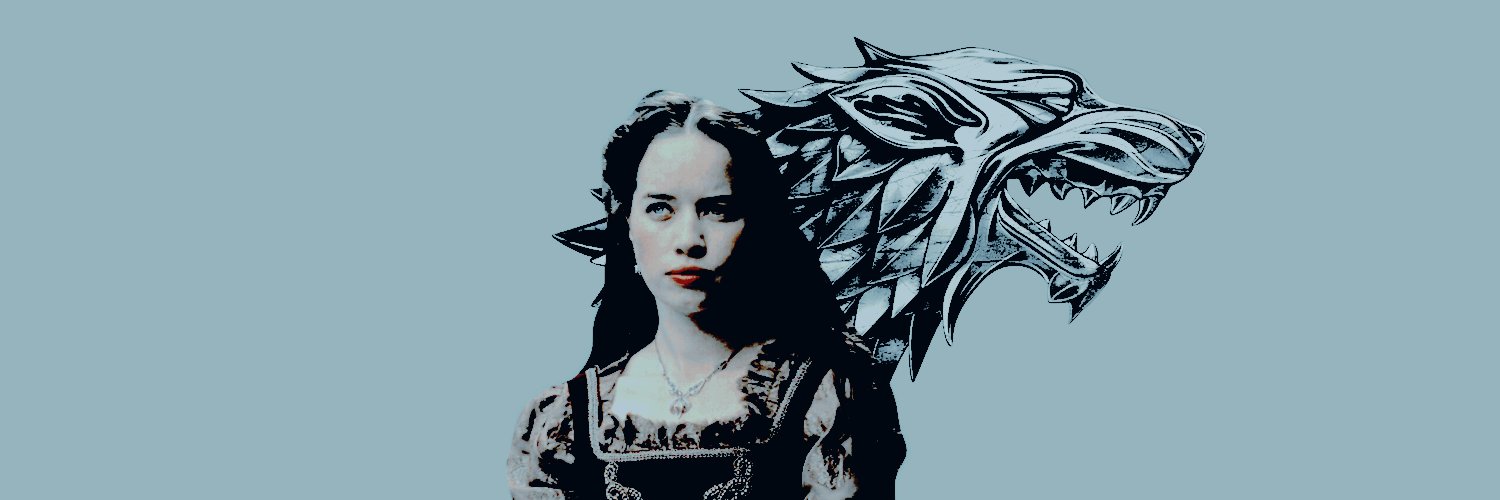 𝔖𝒶𝓇𝒶 𝔖𝓃𝑜𝓌. banner