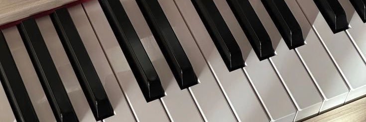 nanu_chaa's profile banner image