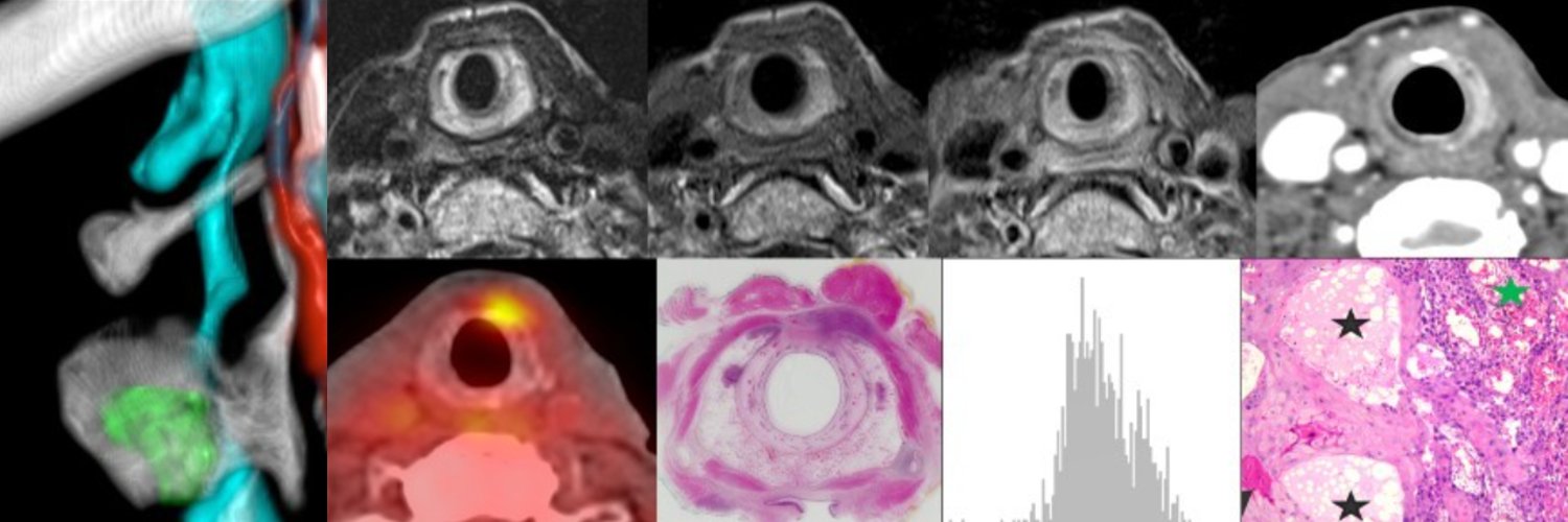 Minerva Becker banner