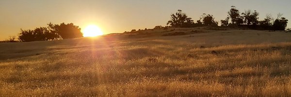 BridgetWatkins0 Profile Banner