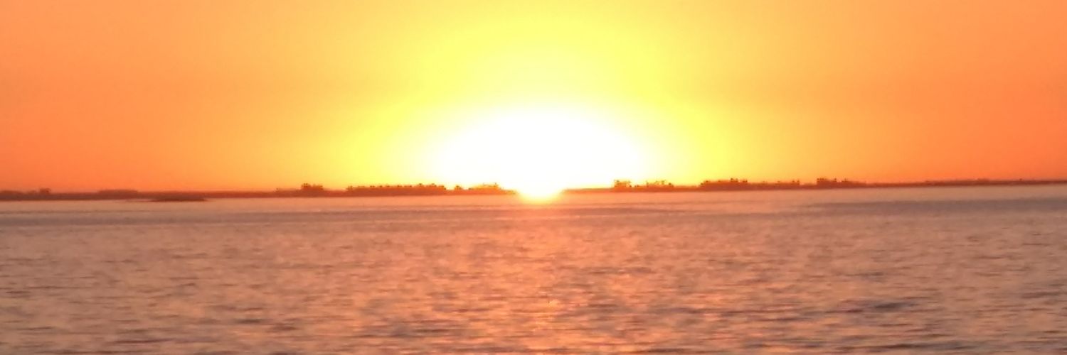 Anaaschmidt99's profile banner image