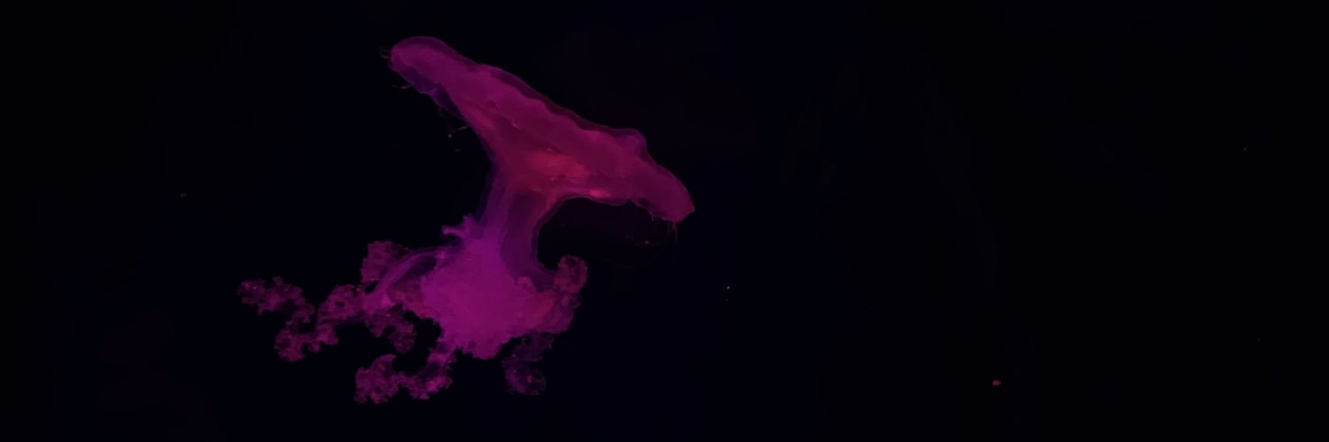 karner banner