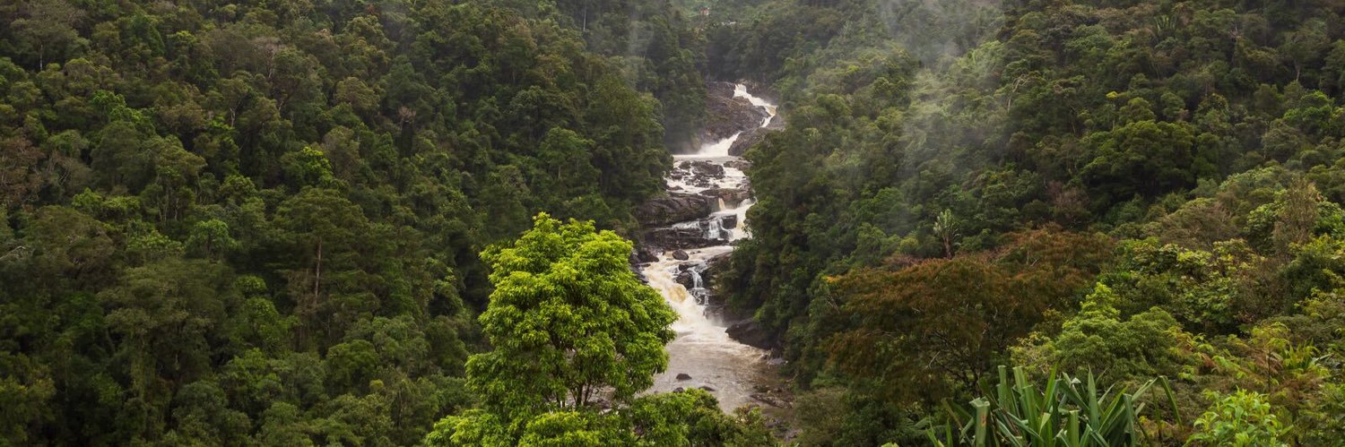 talentless clod banner