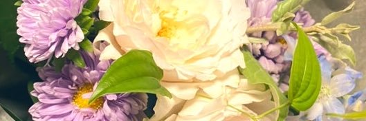 lucaxluca's profile banner image