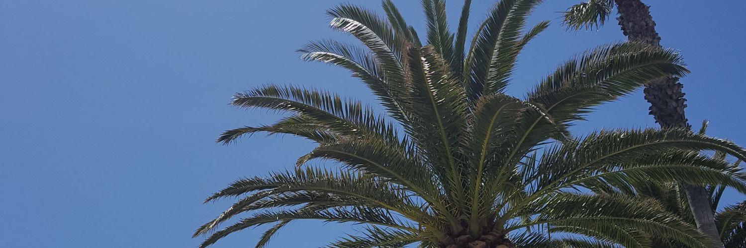 StephDoyle83's profile banner image