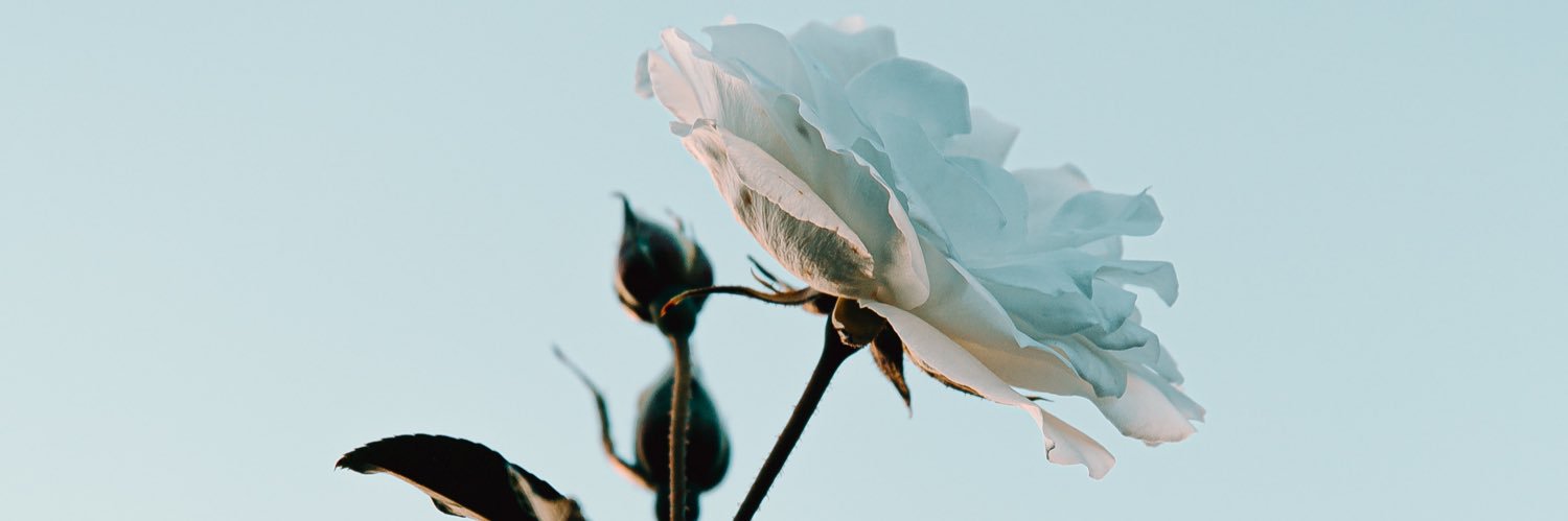 fahrezatsm's profile banner image