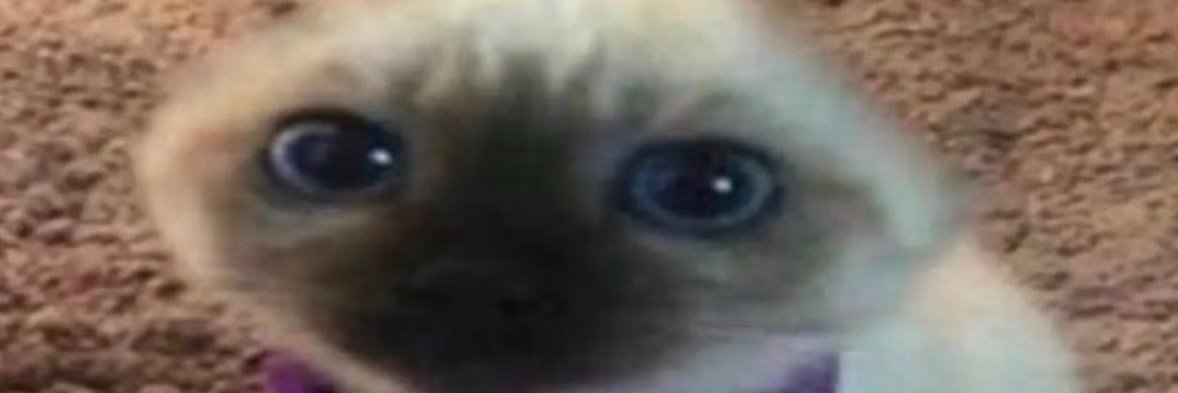 ragdullundersc's profile banner image