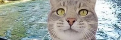 钻石手💎 banner