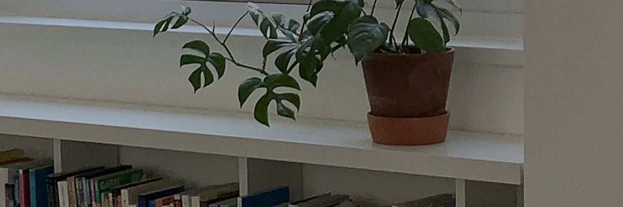 𝘮𝘯𝘦 banner